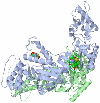 Image Asym./Biol. Unit - sites