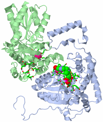 Image Asym. Unit - sites