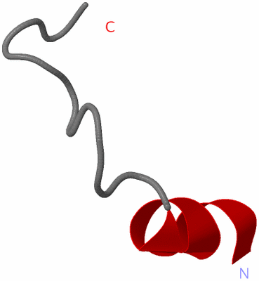 Image NMR Structure - model 1