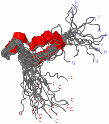 Image NMR Structure - all models