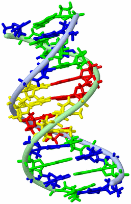 Image NMR Structure - model 1