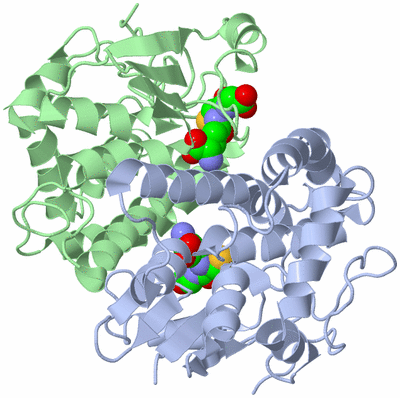 Image Asym./Biol. Unit