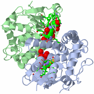 Image Asym./Biol. Unit - sites