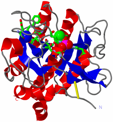 Image Asym./Biol. Unit - sites