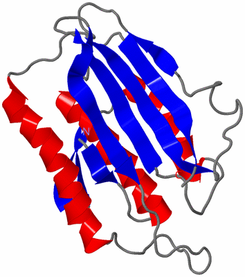 Image NMR Structure - model 1