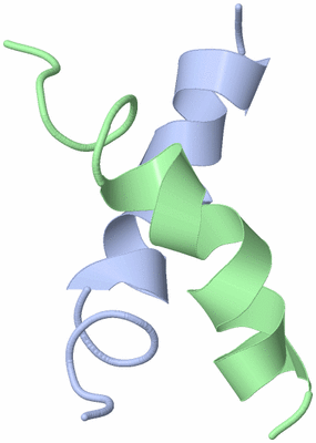 Image NMR Structure - model 1