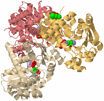 Image Asym./Biol. Unit