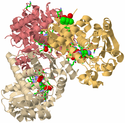 Image Asym./Biol. Unit - sites