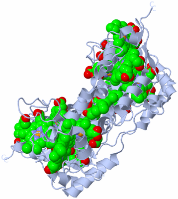 Image Biological Unit 2