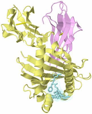 Image Biological Unit 2