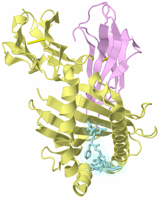 Image Biological Unit 2