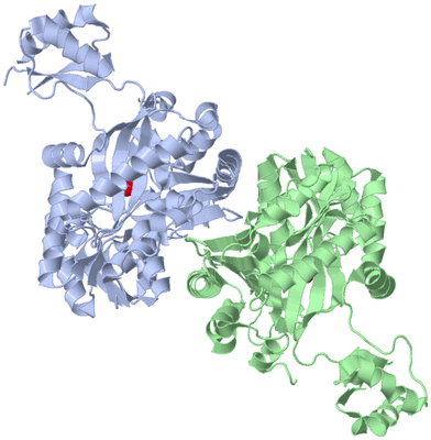 Image Asym./Biol. Unit