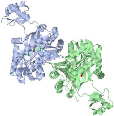 Image Asym./Biol. Unit - sites