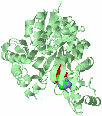 Image Biological Unit 2