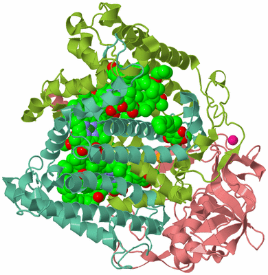Image Biological Unit 1