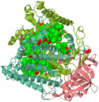 Image Biol. Unit 1 - sites