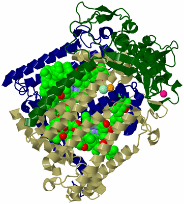 Image Biological Unit 2