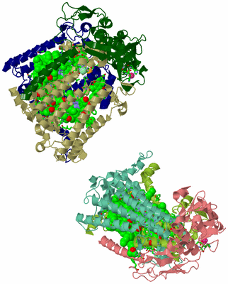 Image Asym. Unit - sites