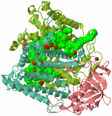 Image Biological Unit 1