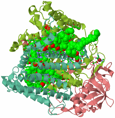 Image Biol. Unit 1 - sites