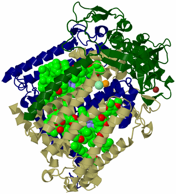 Image Biological Unit 2