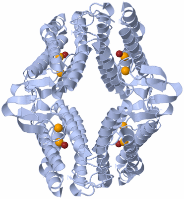 Image Biological Unit 2