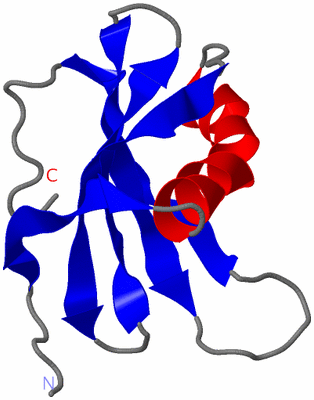 Image NMR Structure - model 1