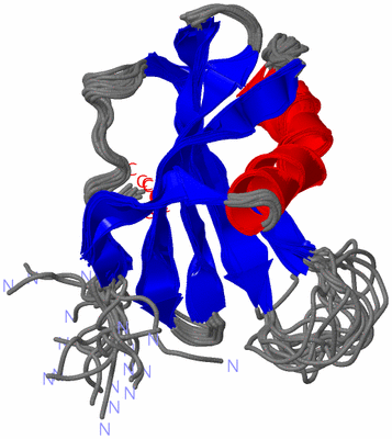 Image NMR Structure - all models