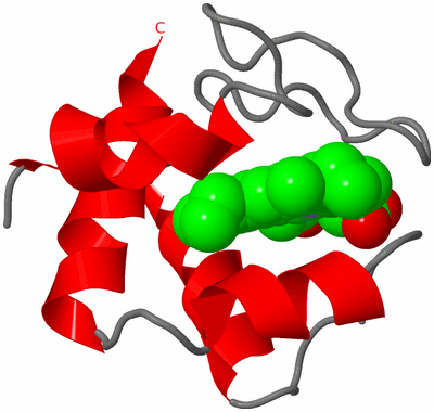 Image NMR Structure - model 1