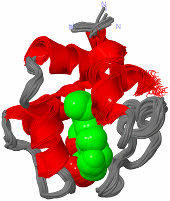 Image NMR Structure - all models