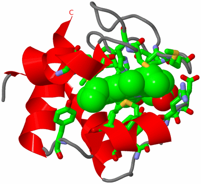 Image NMR Structure - model 1, sites