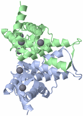 Image Asym./Biol. Unit