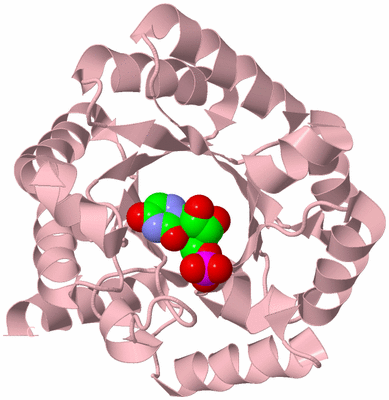 Image Biological Unit 3