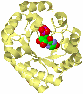 Image Biological Unit 4