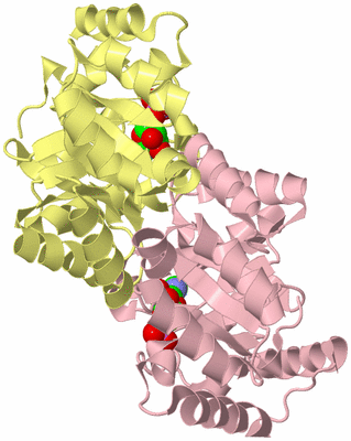 Image Biological Unit 5