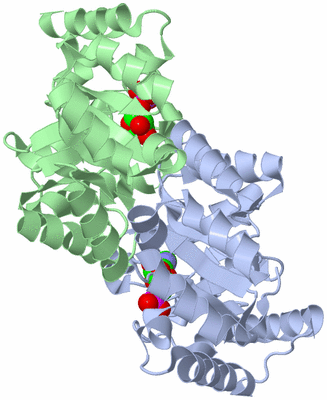 Image Biological Unit 6