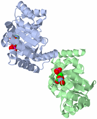 Image Biological Unit 7