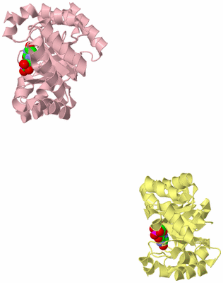 Image Biological Unit 8