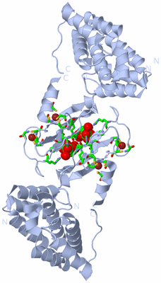 Image Biol. Unit 1 - sites