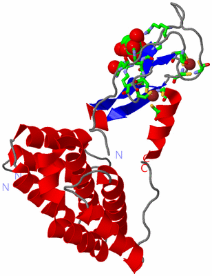 Image Asym. Unit - sites