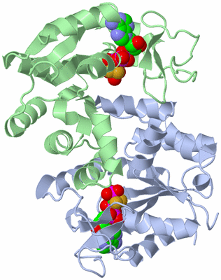 Image Asym./Biol. Unit