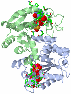 Image Asym./Biol. Unit - sites