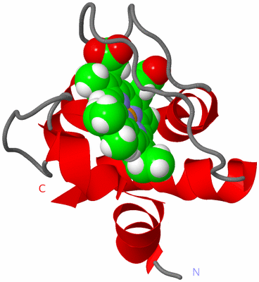 Image NMR Structure - model 1