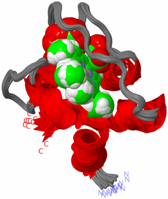 Image NMR Structure - all models