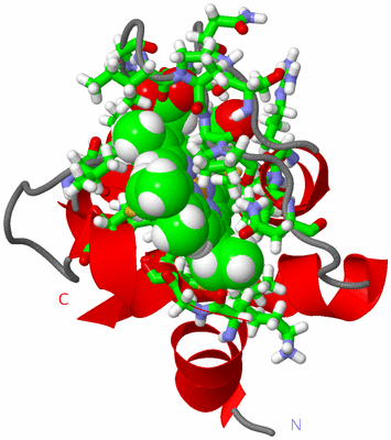 Image NMR Structure - model 1, sites