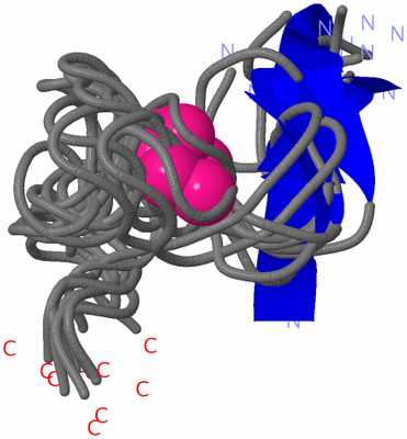 Image NMR Structure - all models