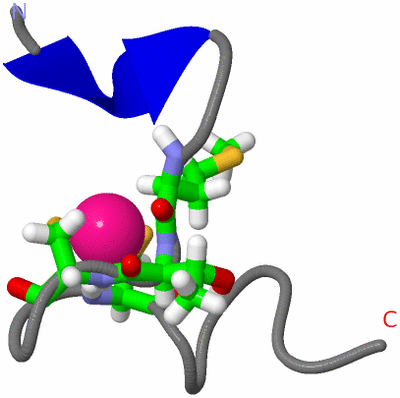 Image NMR Structure - model 1, sites