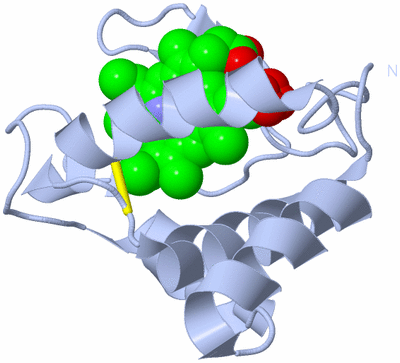 Image Biological Unit 1