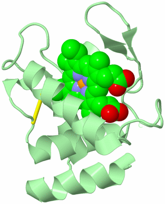 Image Biological Unit 2