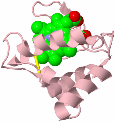 Image Biological Unit 3